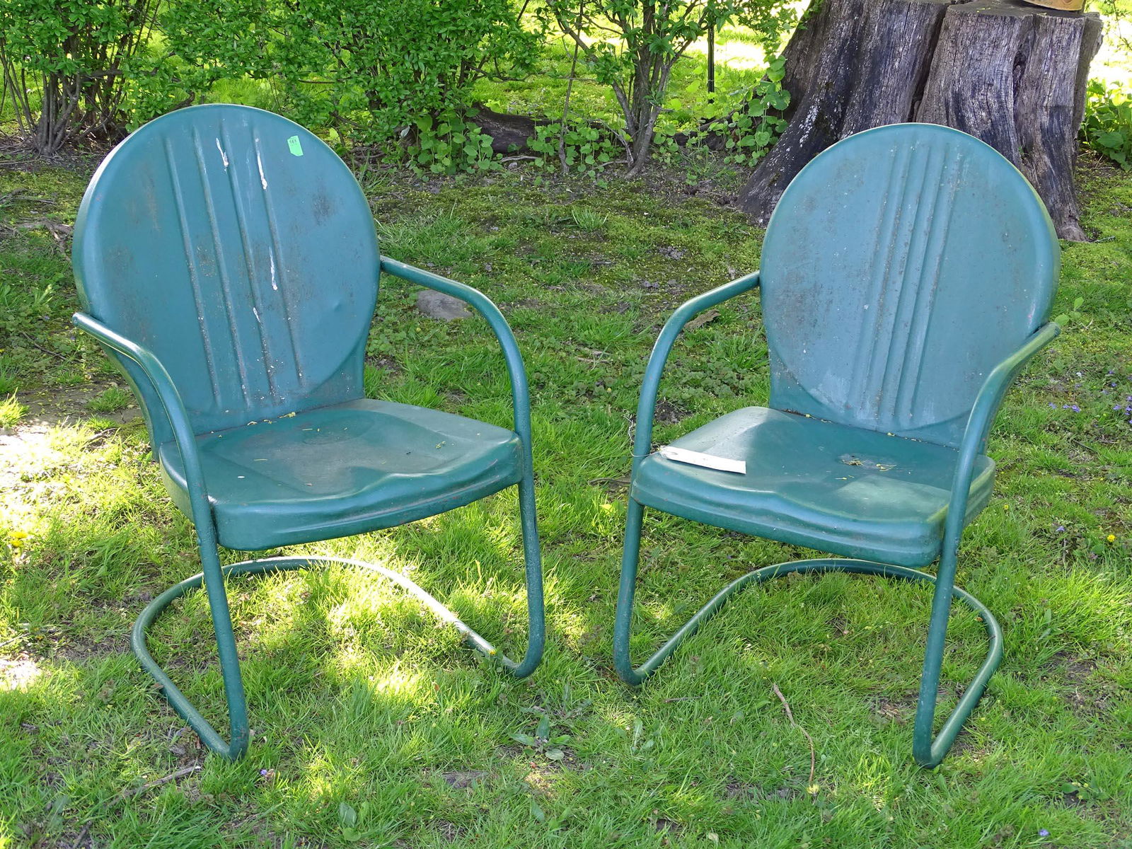 Lawn Chairs (1 of 4)