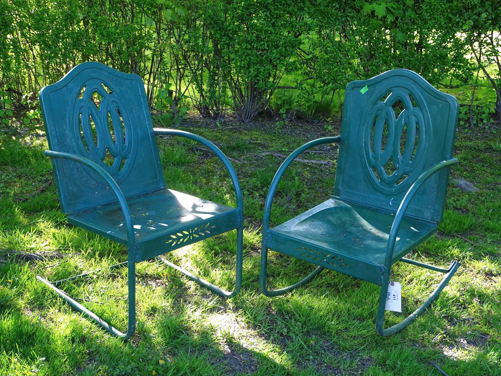Lawn Chairs (1 of 4)