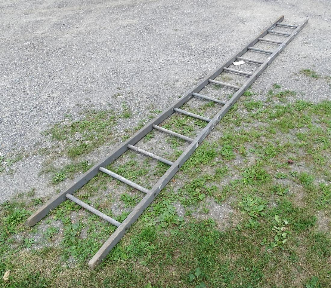 Apple Picking Ladder (1 of 3)