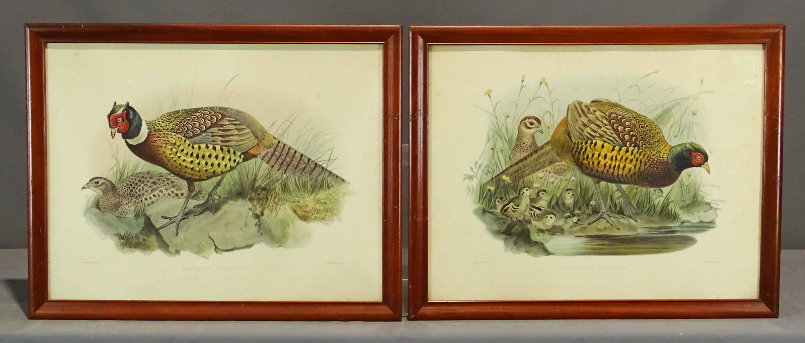 19th c. Bird Prints (1 of 10)