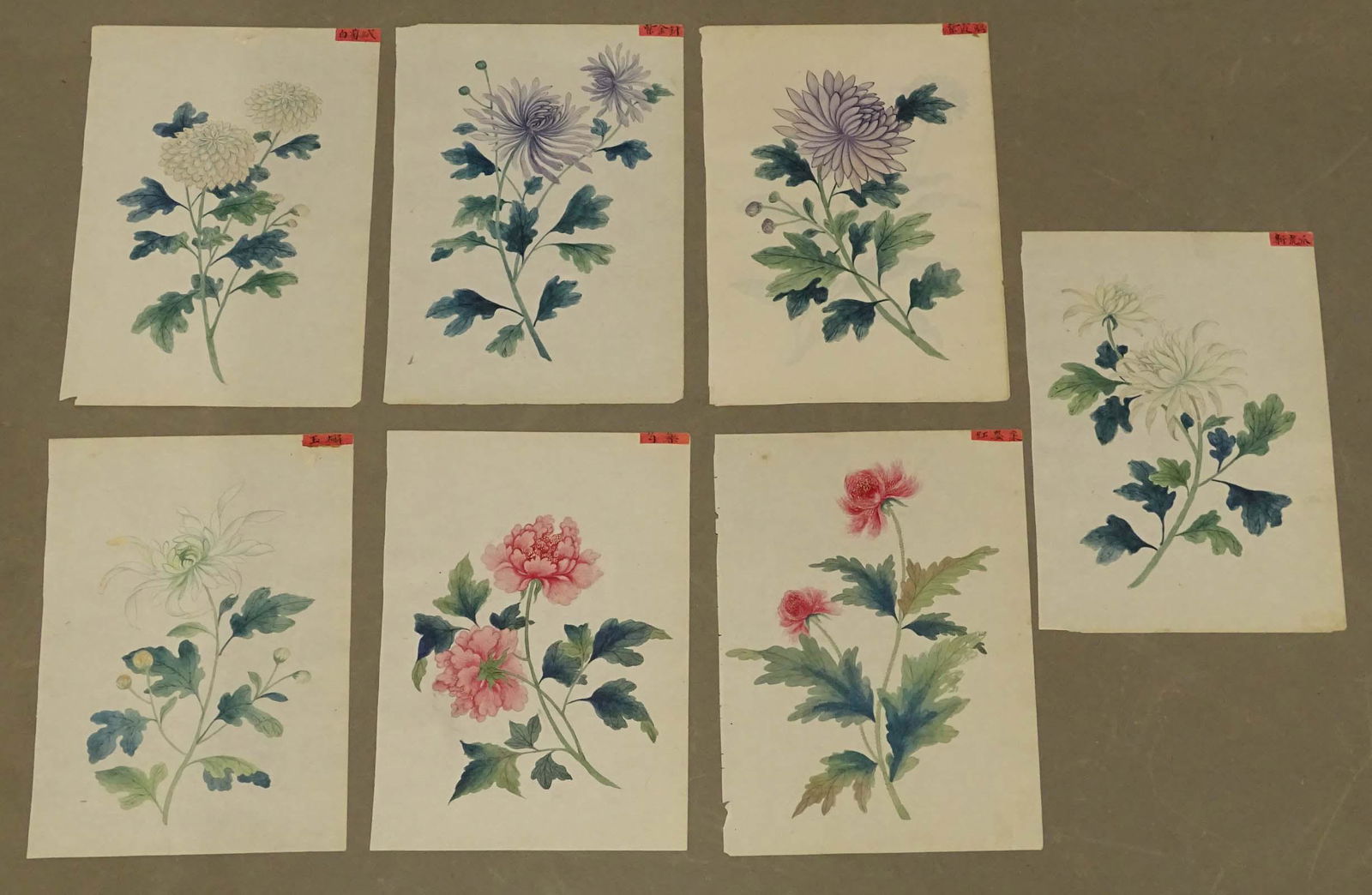 Chinese Botanical Antique Watercolor Set (8) (1 of 4)