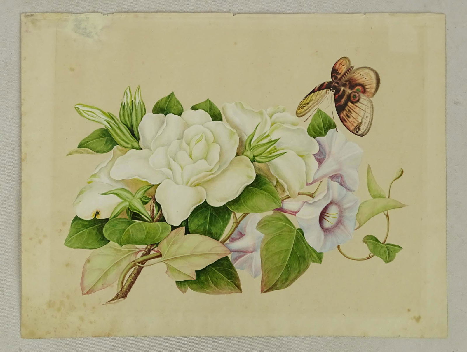 Anglo Asian Export Vintage Botanical (1 of 1)