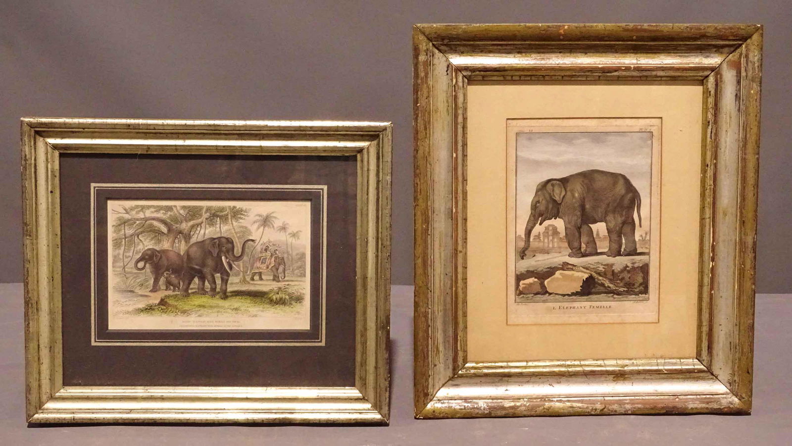 19th c. Elephant Study Prints (1 of 6)