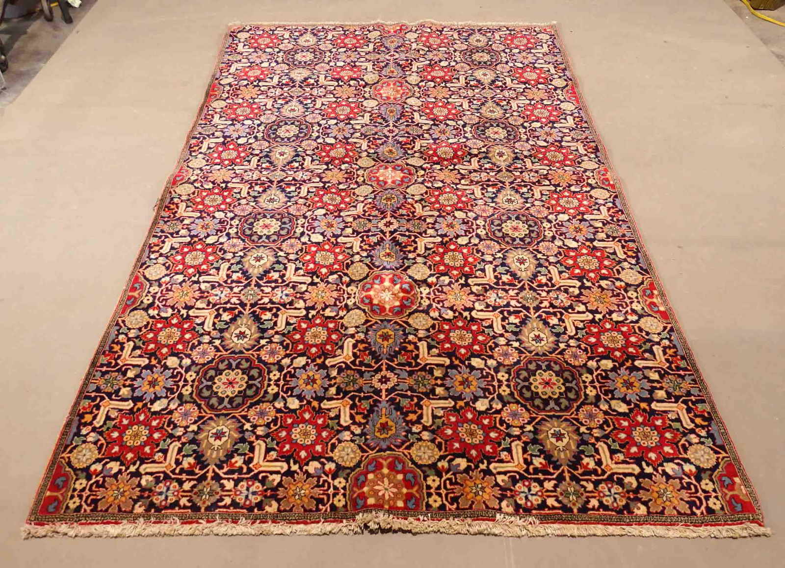 Oriental Rug (1 of 5)