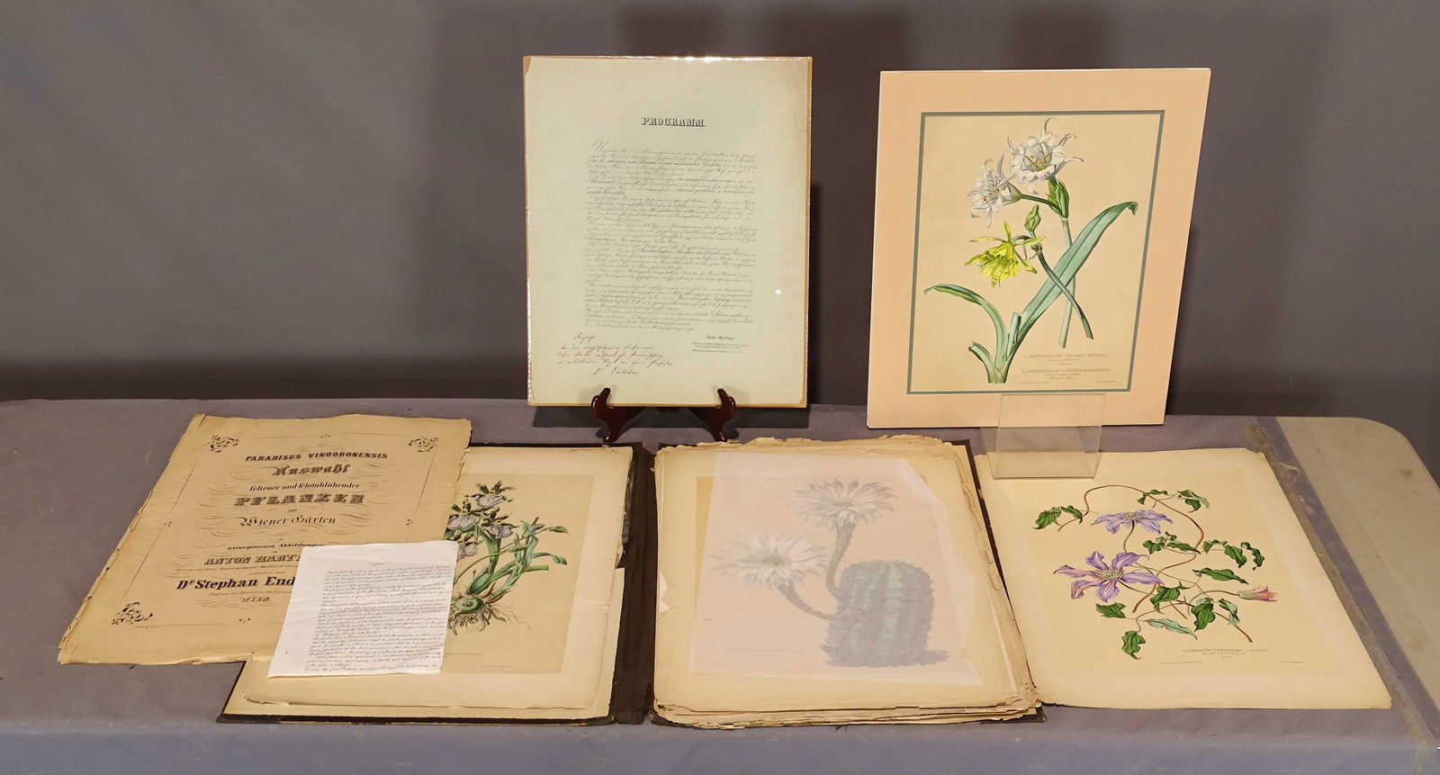 19th c. Portfolio (1 of 8)