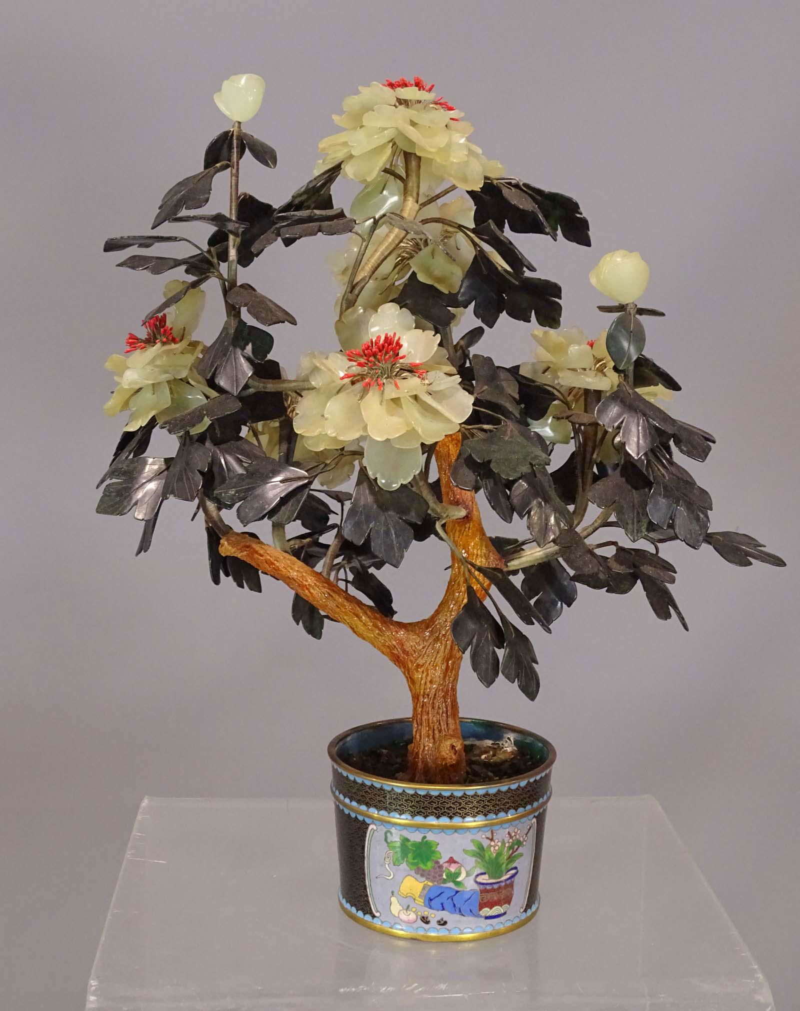 Asian Jade Tree (1 of 4)