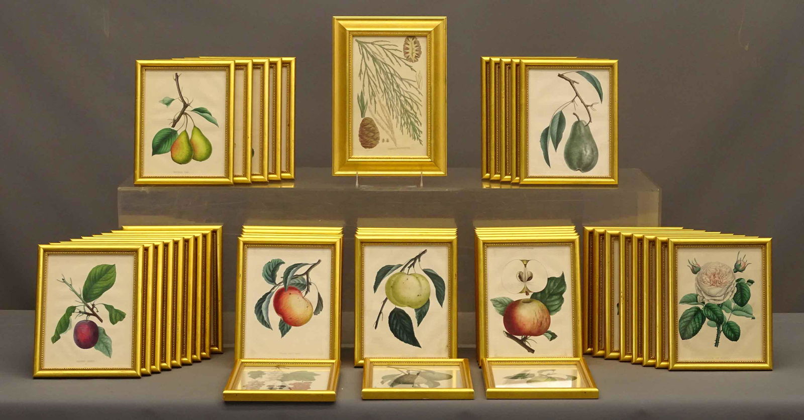 Floral Prints (1 of 14)