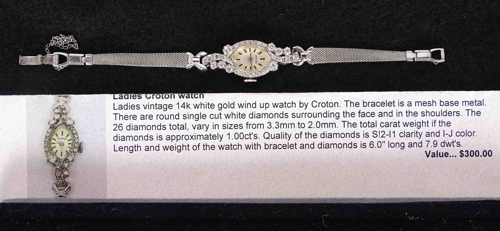 Croton Watch (1 of 6)