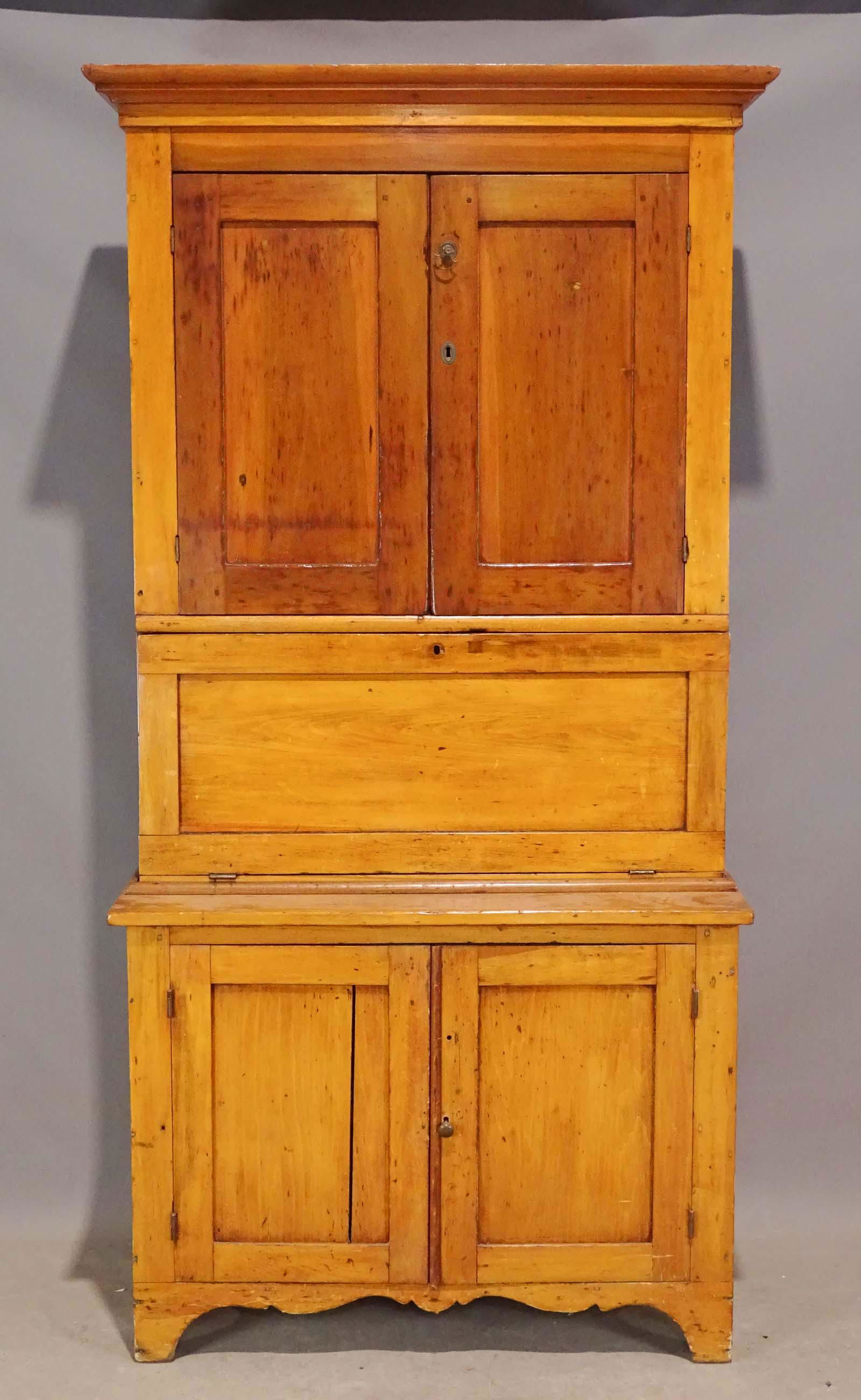 Pine Secretary (1 of 8)