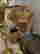 item-10791766=3