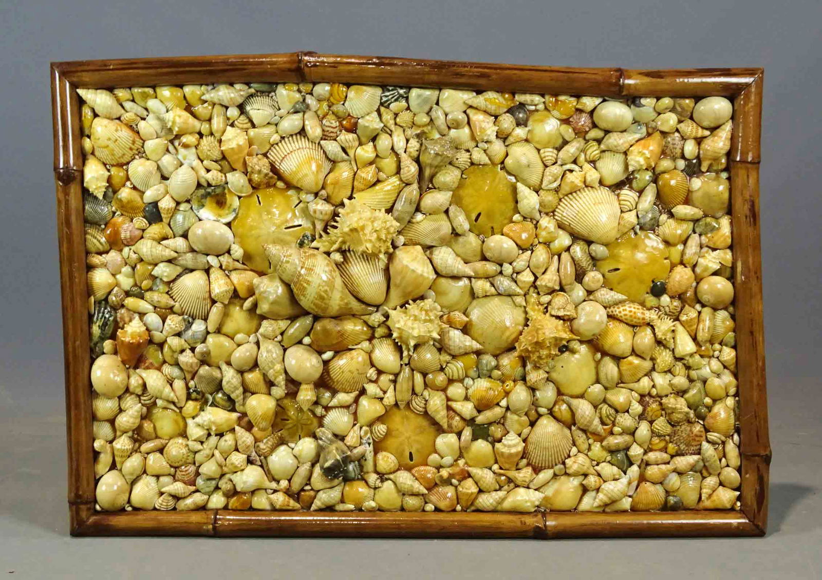 Shell Artwork (1 of 6)