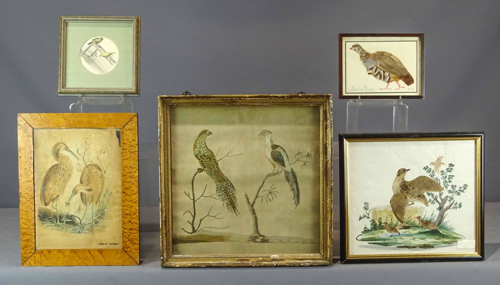 Feather Pictures (1 of 13)