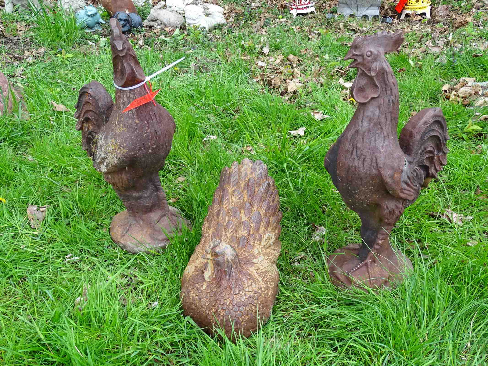 Pair of Roosters (1 of 6)