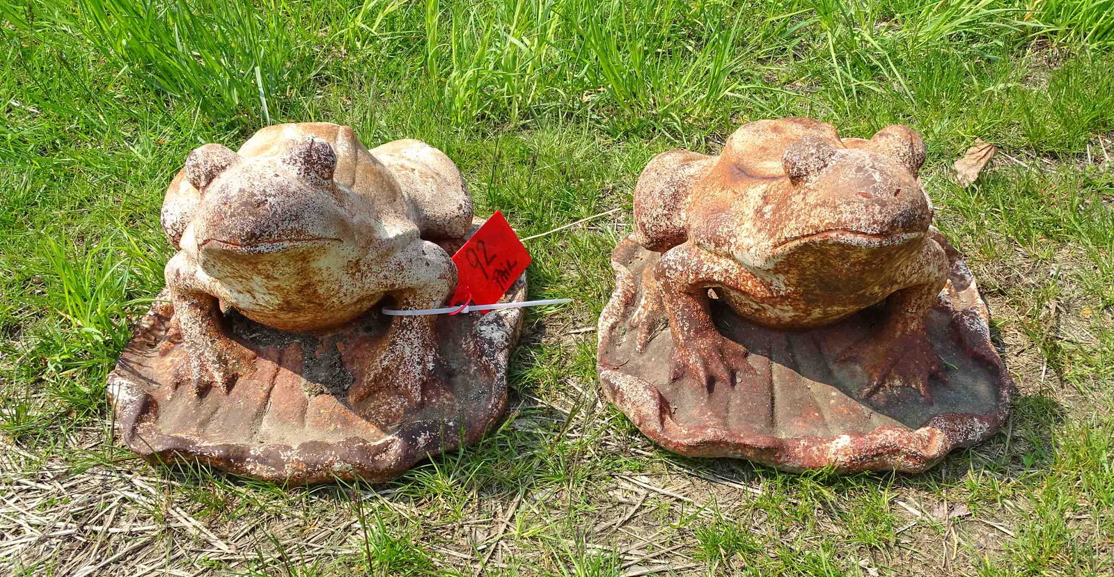 Pair Cast Iron Frogs (1 of 5)