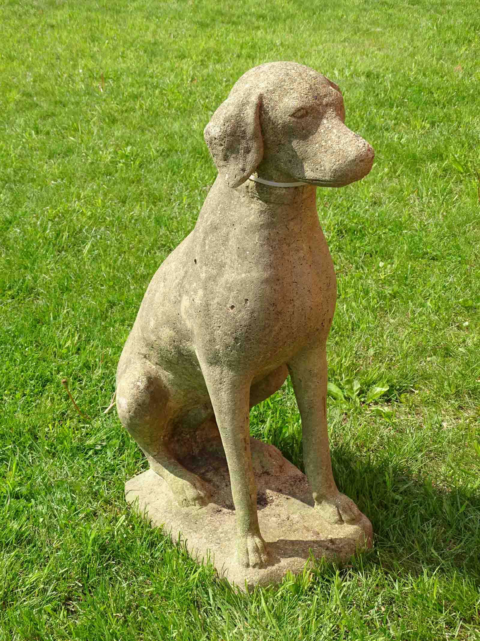 Stone Dog (1 of 5)