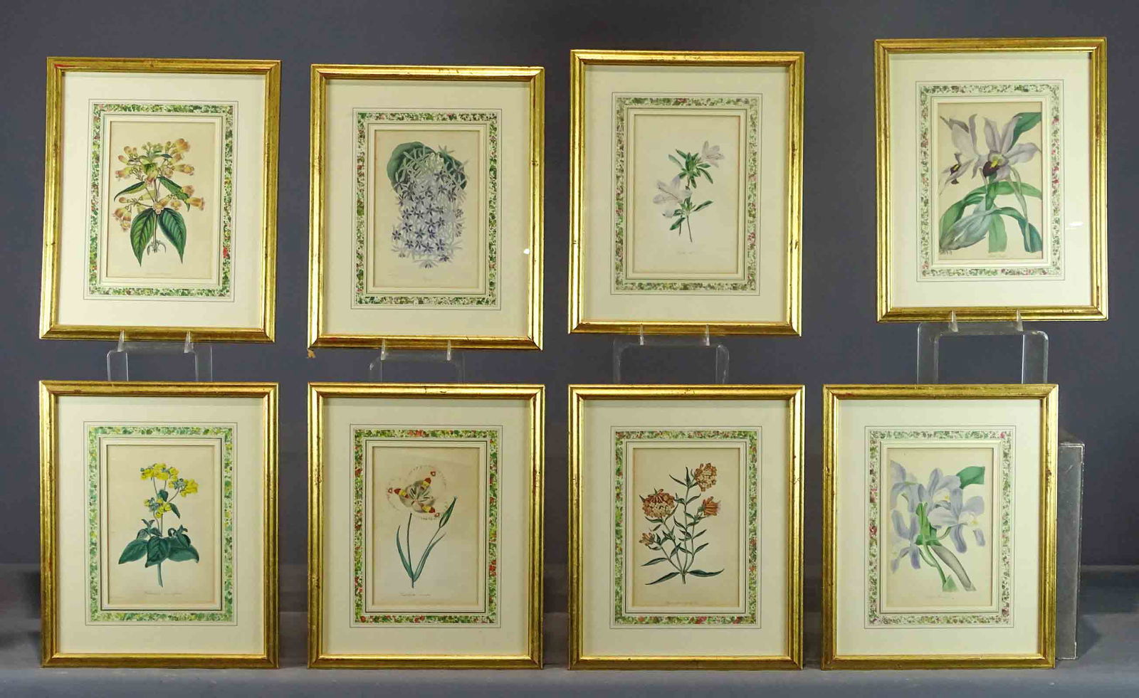 Set 8 Botanical Prints (1 of 18)