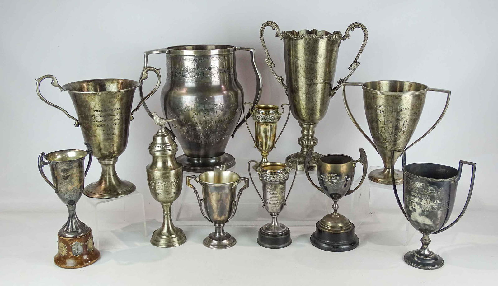 Trophy Lot (1 of 20)