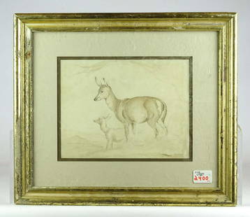 19th c. Drawing of Deer: 19th c. drawing of deer. Gilded frame. Sight 8" x 10 1/4", overall 15 1/2" x 18".