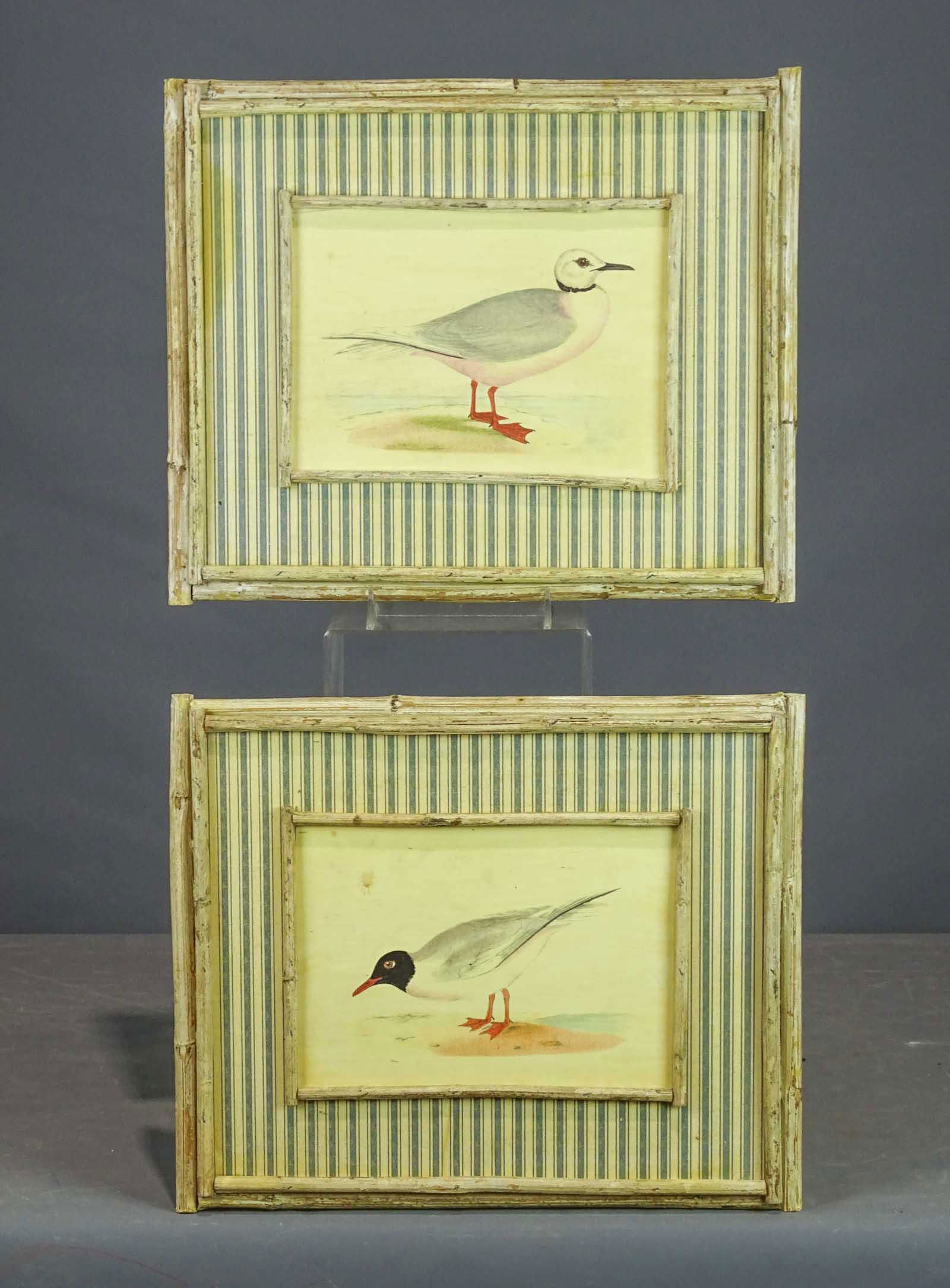 Pair Bird Watercolors (1 of 4)