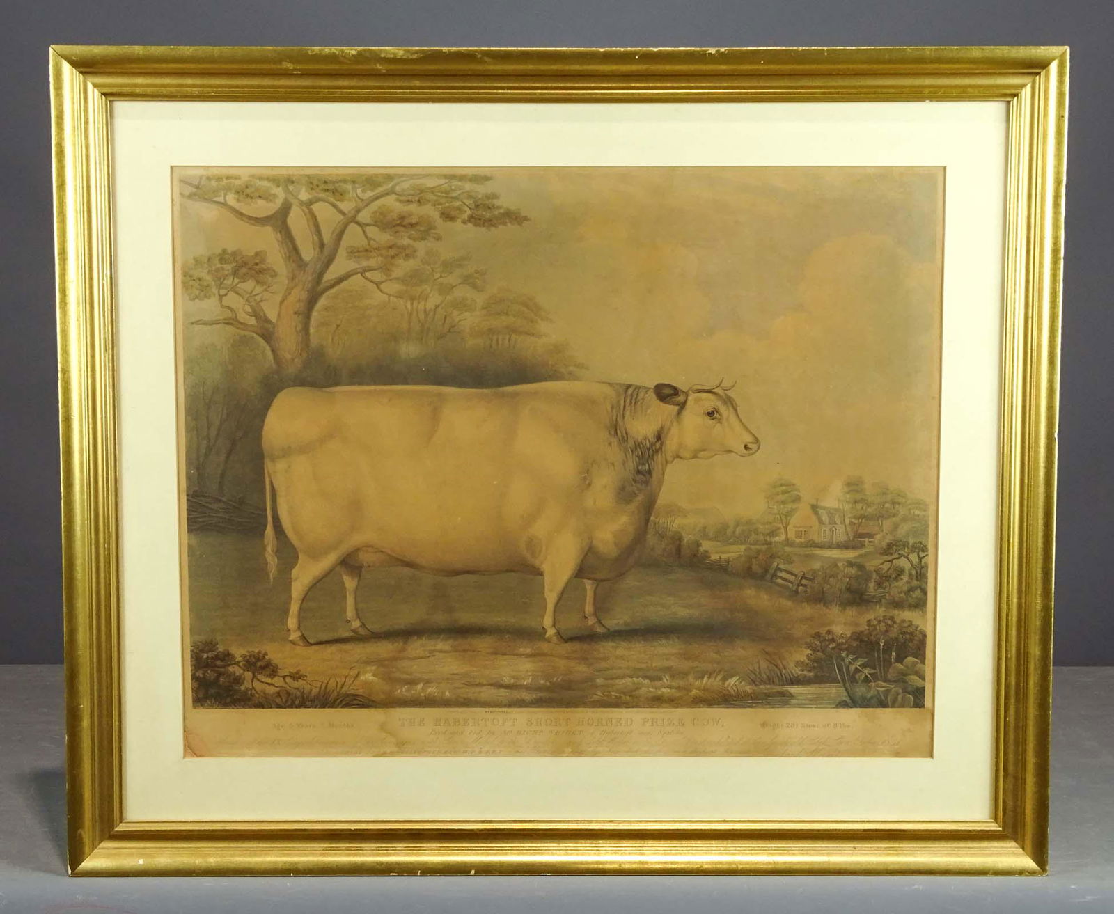 Prized Cow Print (1 of 5)