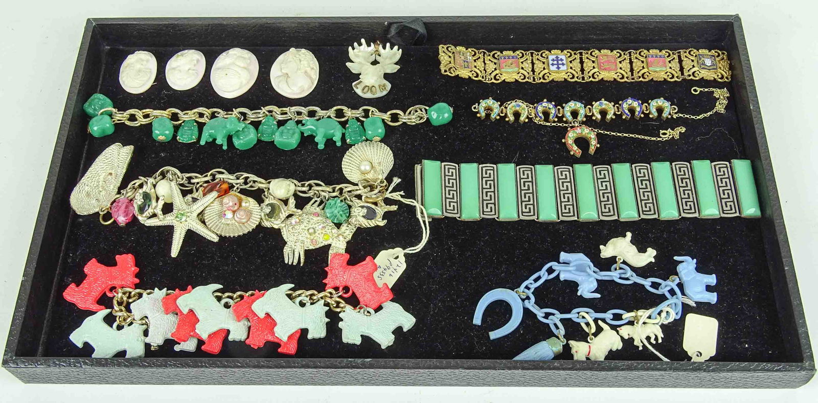 Jewelry Lot: Jewelry lot including charm bracelets, bracelets, cameos. Case not included.