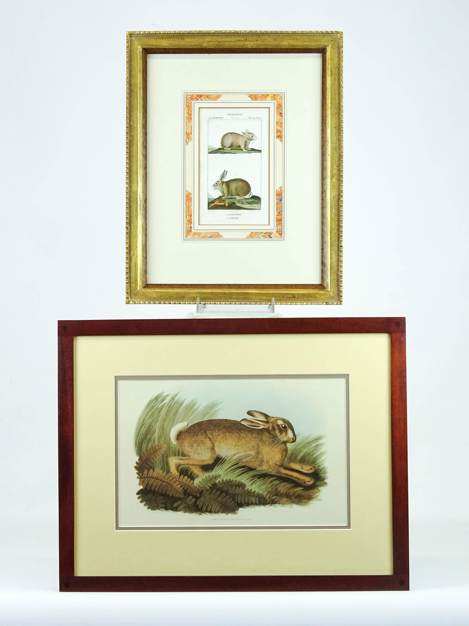 Animal Prints (1 of 9)