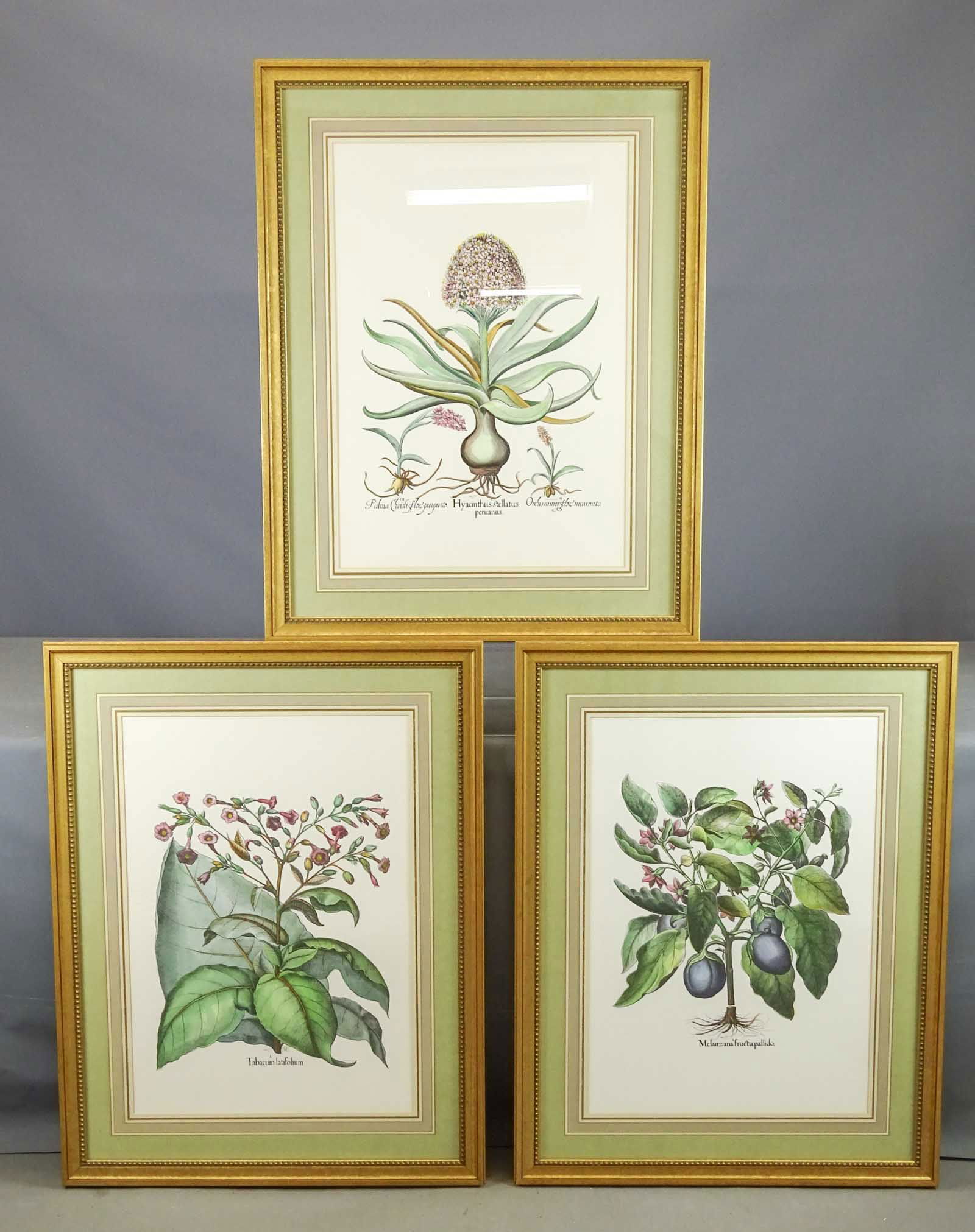 Three Study Prints (1 of 8)