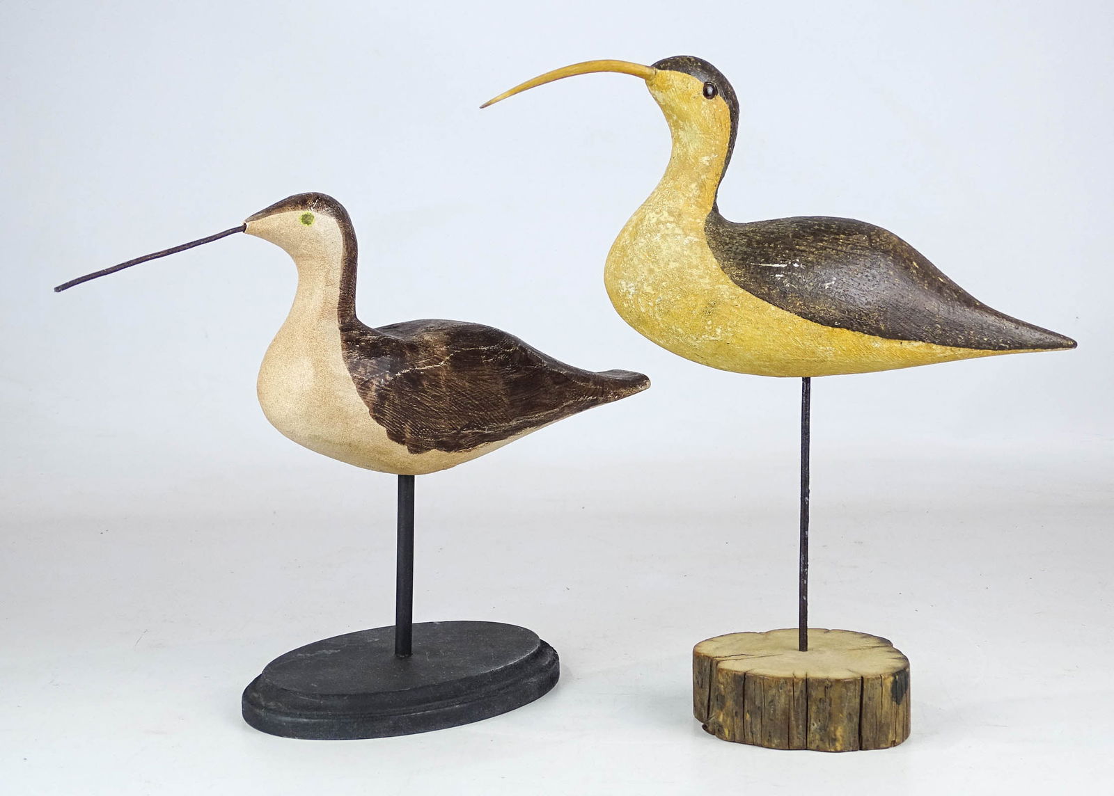 Shorebird Lot (1 of 14)