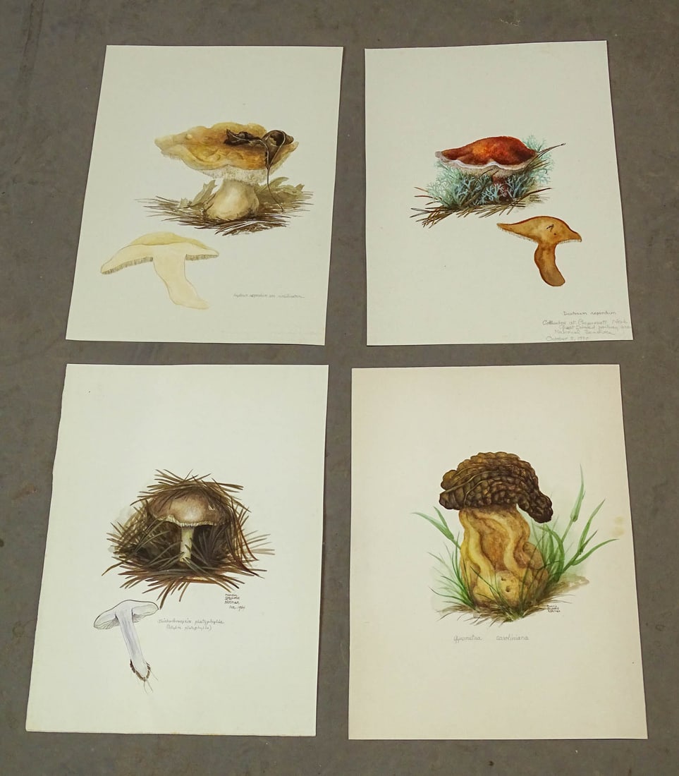 Mushroom Watercolors Cape Cod Set (4) (1 of 7)