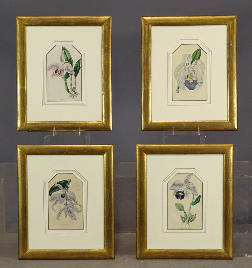 Four Framed Orchid Prints (1 of 7)