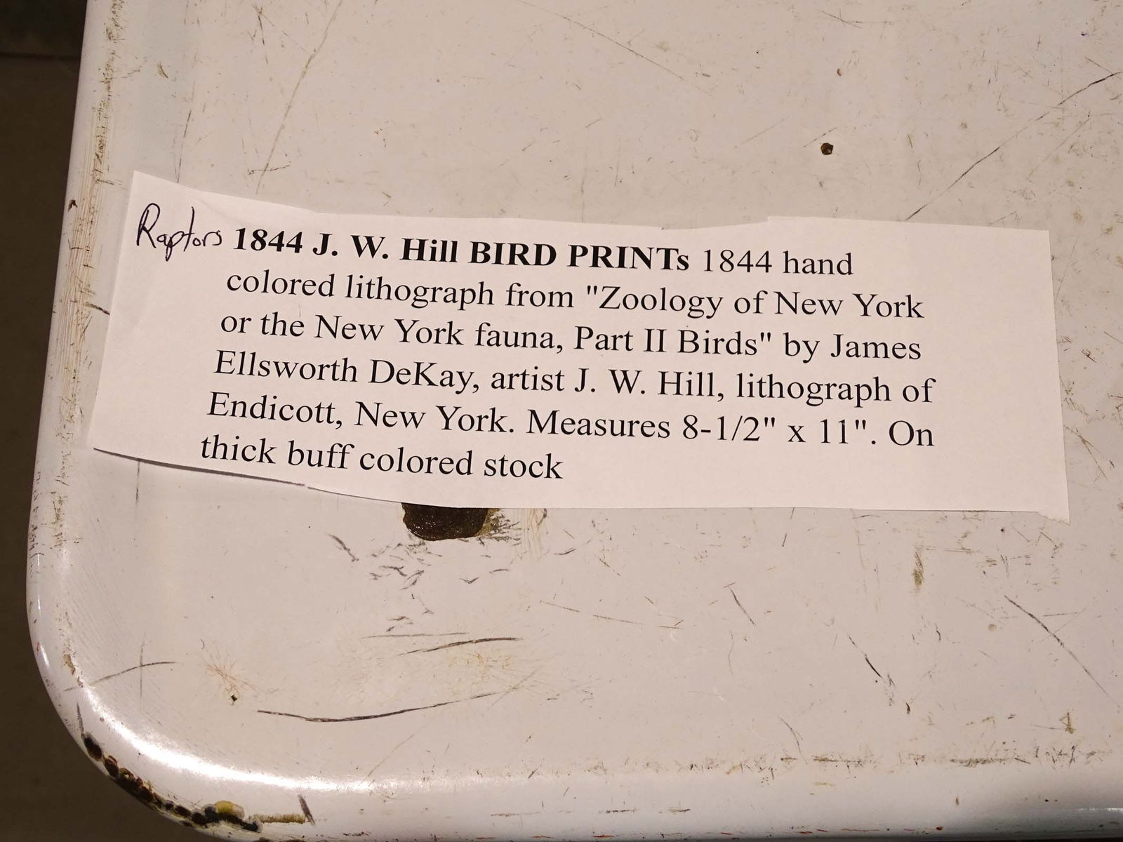 Bird Prints (1 of 10)