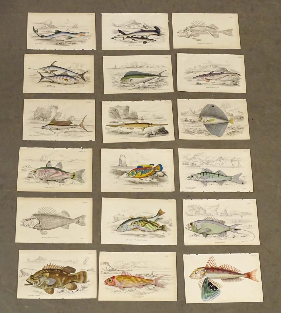 Fish Prints (1 of 9)