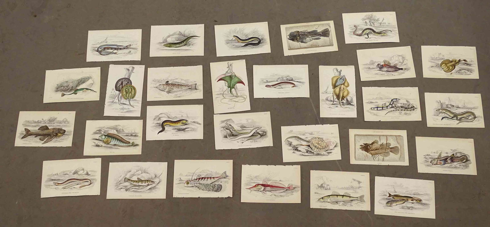 Fish Prints (1 of 10)