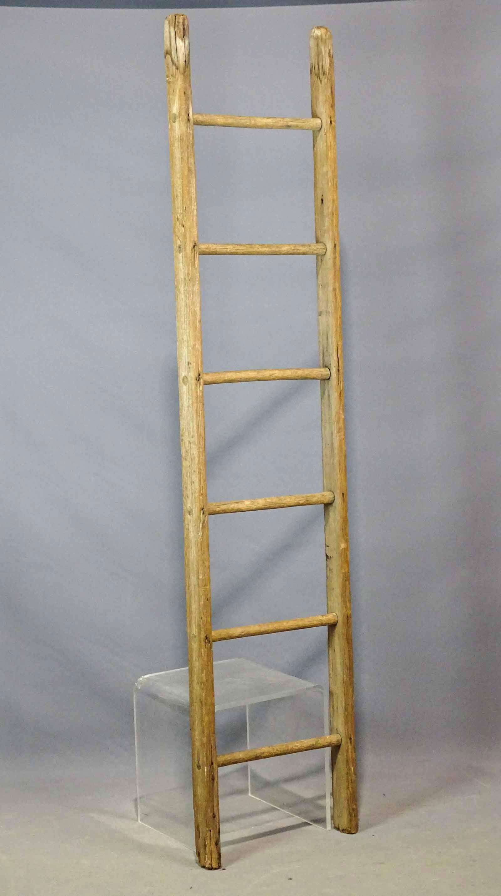 Primitive Ladder (1 of 5)