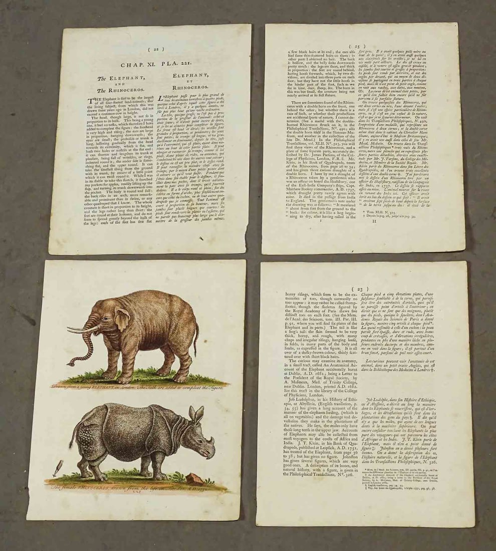 18th c. Engraving (1 of 6)