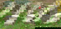 Cast Stone Lot