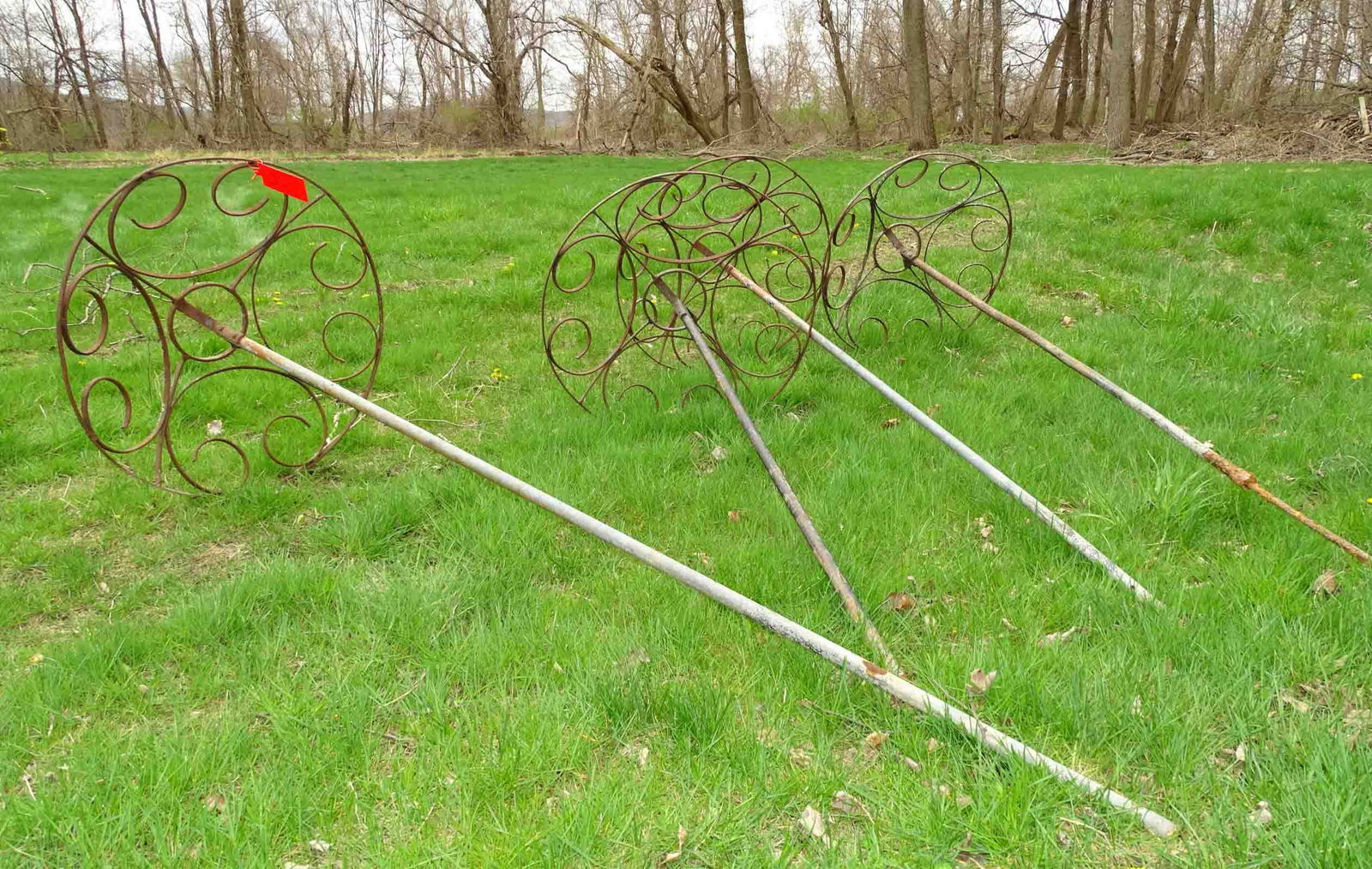 Vine Trellis Lot (1 of 5)