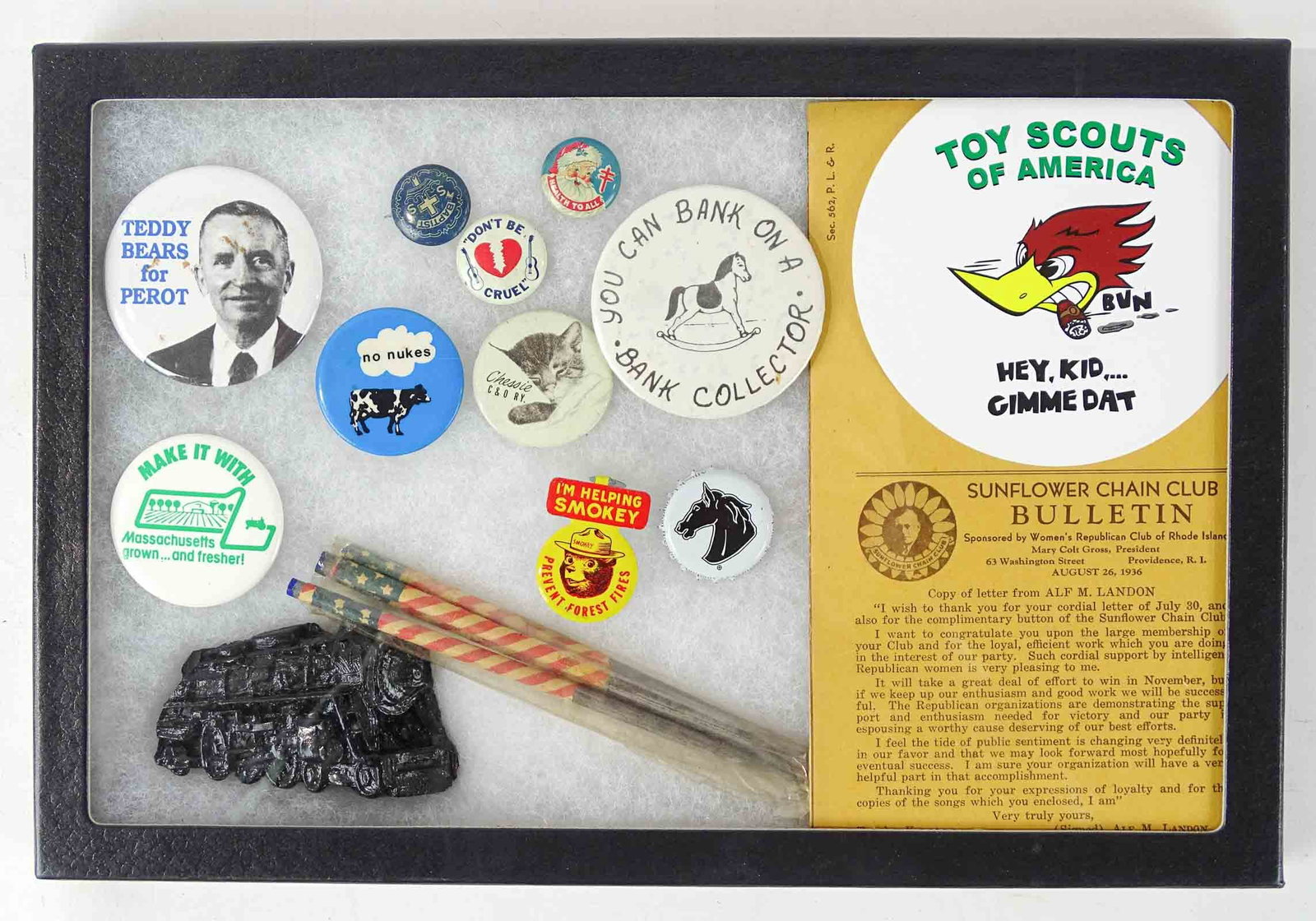 Showcase Lot: Showcase lot of novelties and pinbacks. Case included.