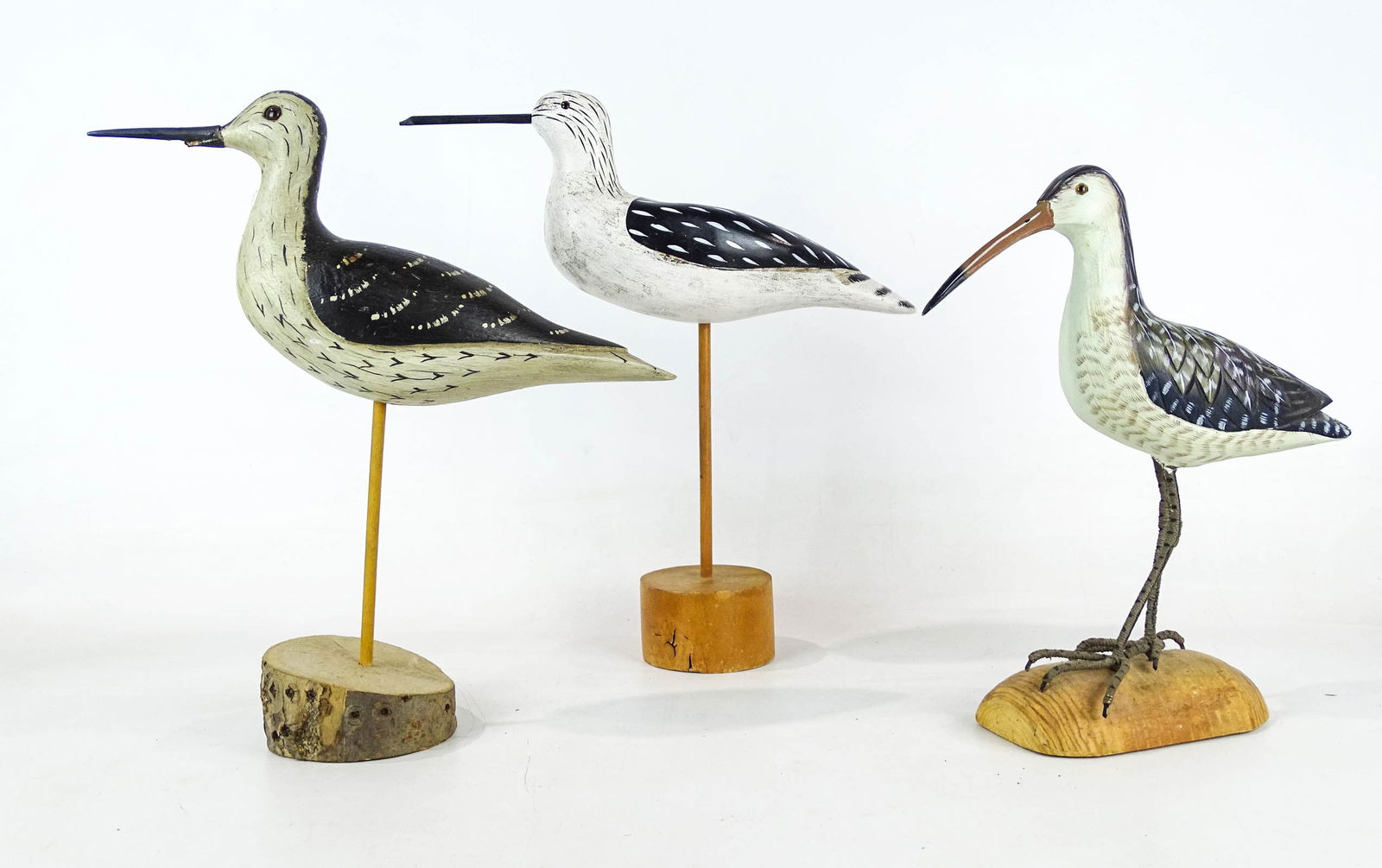 Shorebirds (1 of 13)