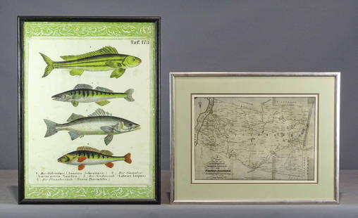 Map of Livingston New York Lot: Lot including framed reprint map of Livingston New York (overall 17 1/2" x 22 1/2"), and fish print (overall 25" x 19").