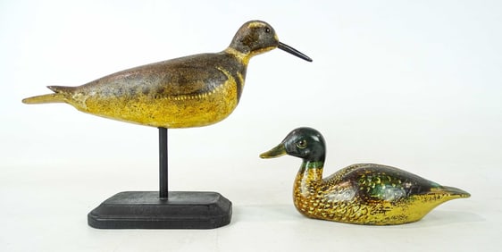 Shorebird