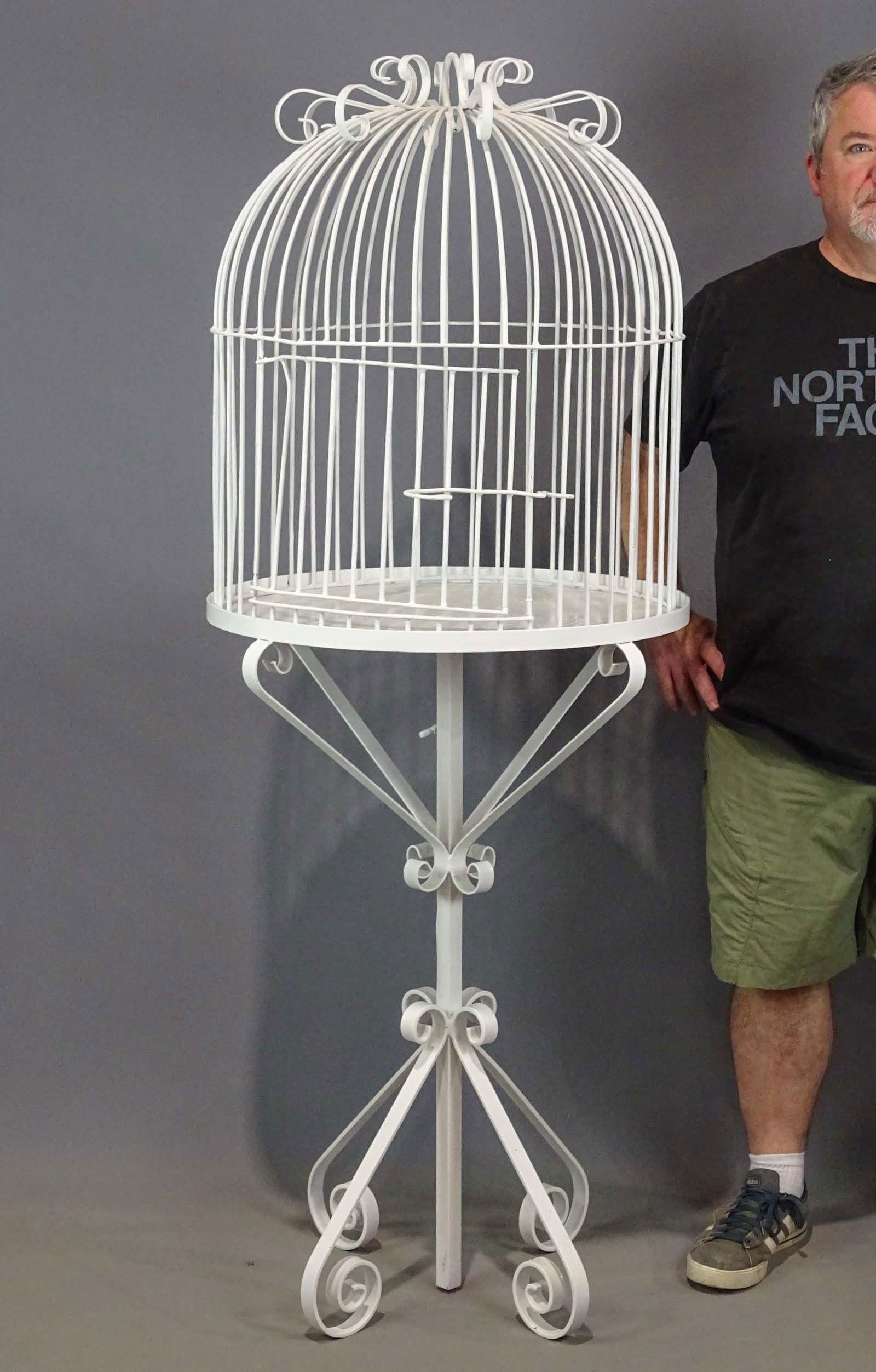 Parrot Cage: Large wrought iron Parrot cage. 65" Ht..
