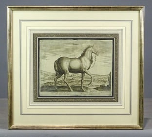 Old Master Horse Print