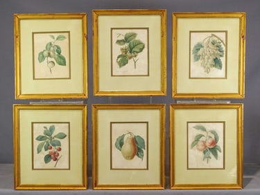 Set of (6) Botanical Prints