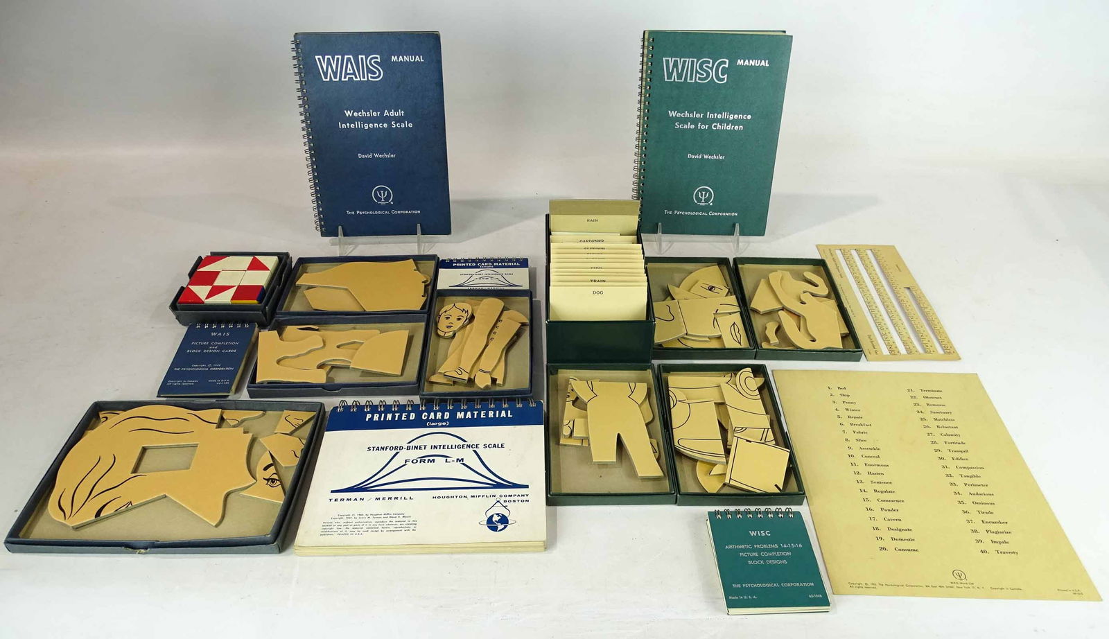 Psychology Intelligence Tests (1 of 15)