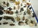 243: Dog Figurines - 4