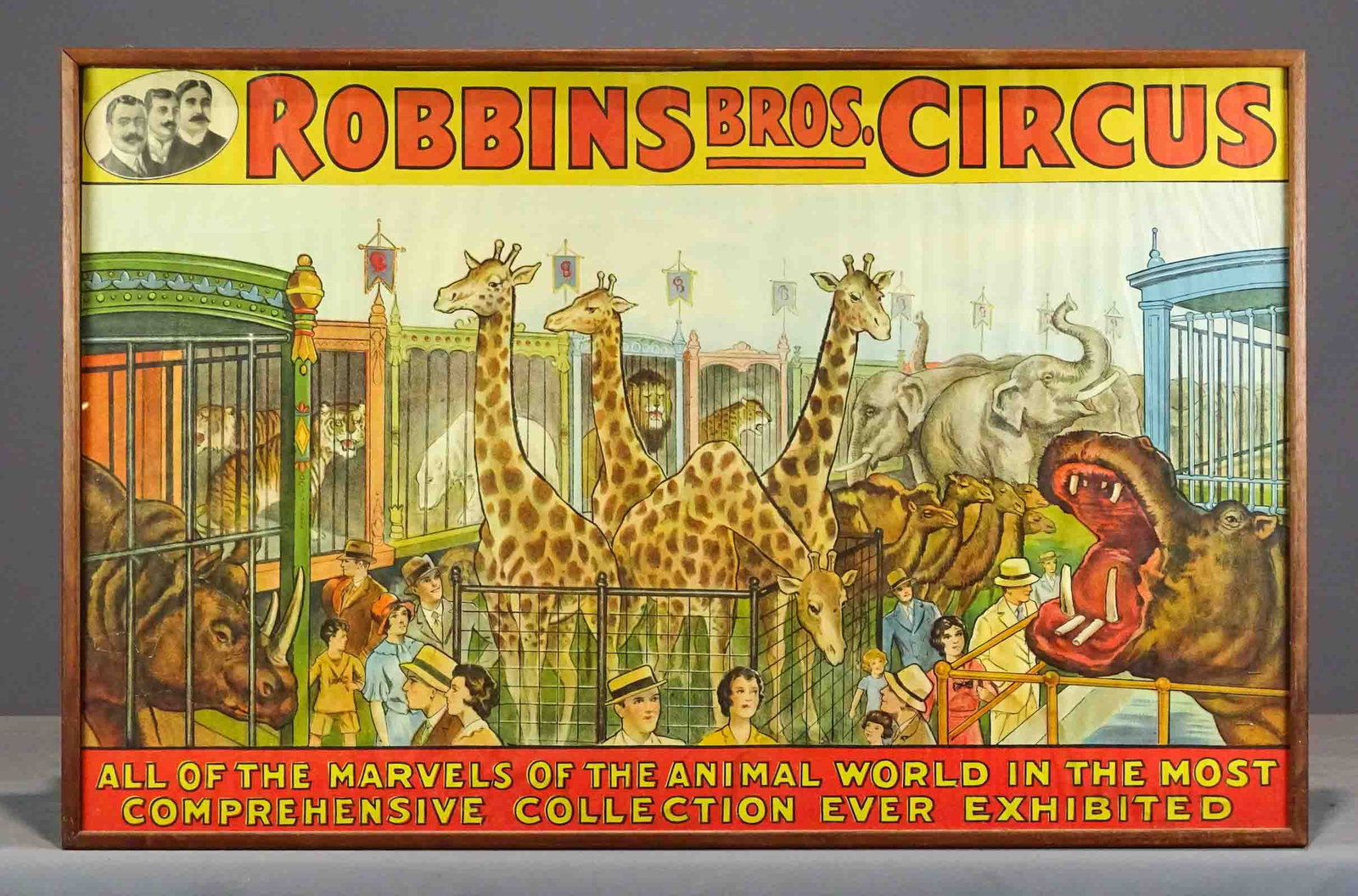 Circus Poster: Circus Poster "ROBBINS BROS. CIRCUS". Sight 24" x 38 1/2", overall 25 1/2" x 39 1/2".