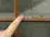 item-14813146=8