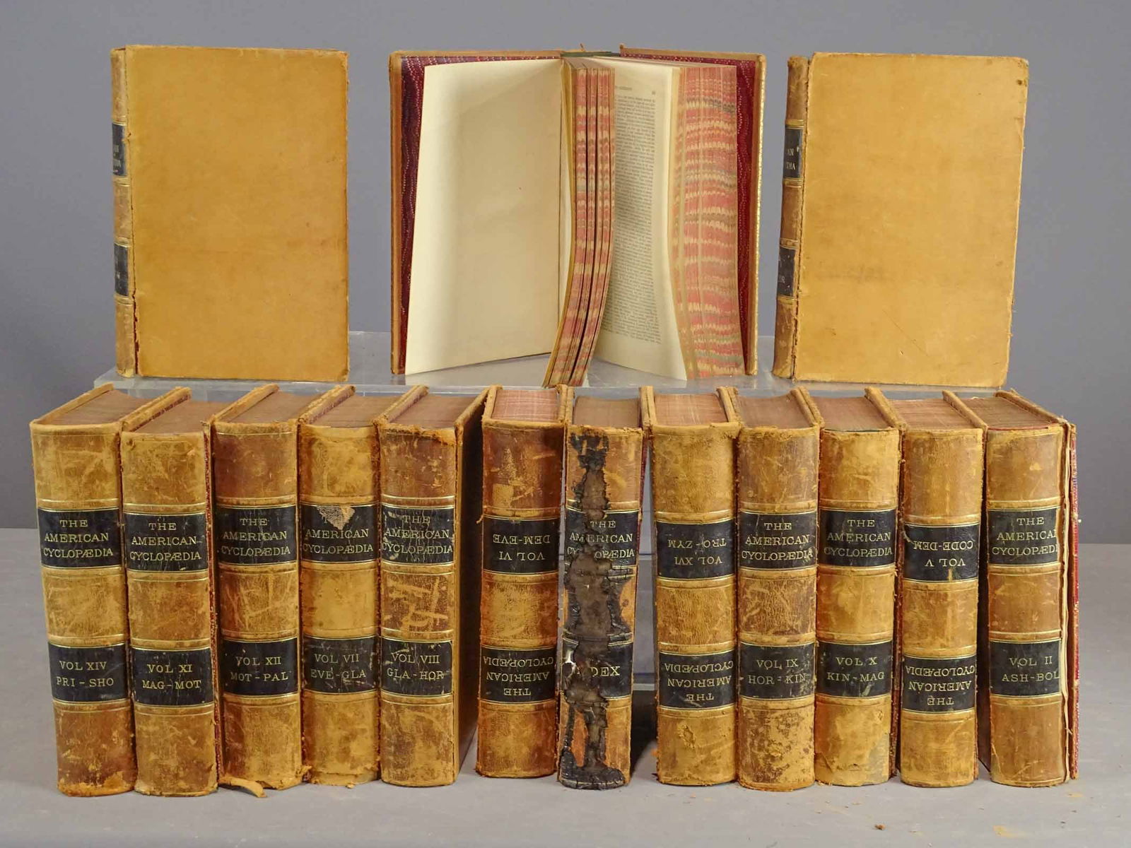 Book Lot: The American Encyclopedia (1 of 5)