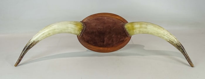 Horn Wall Rack